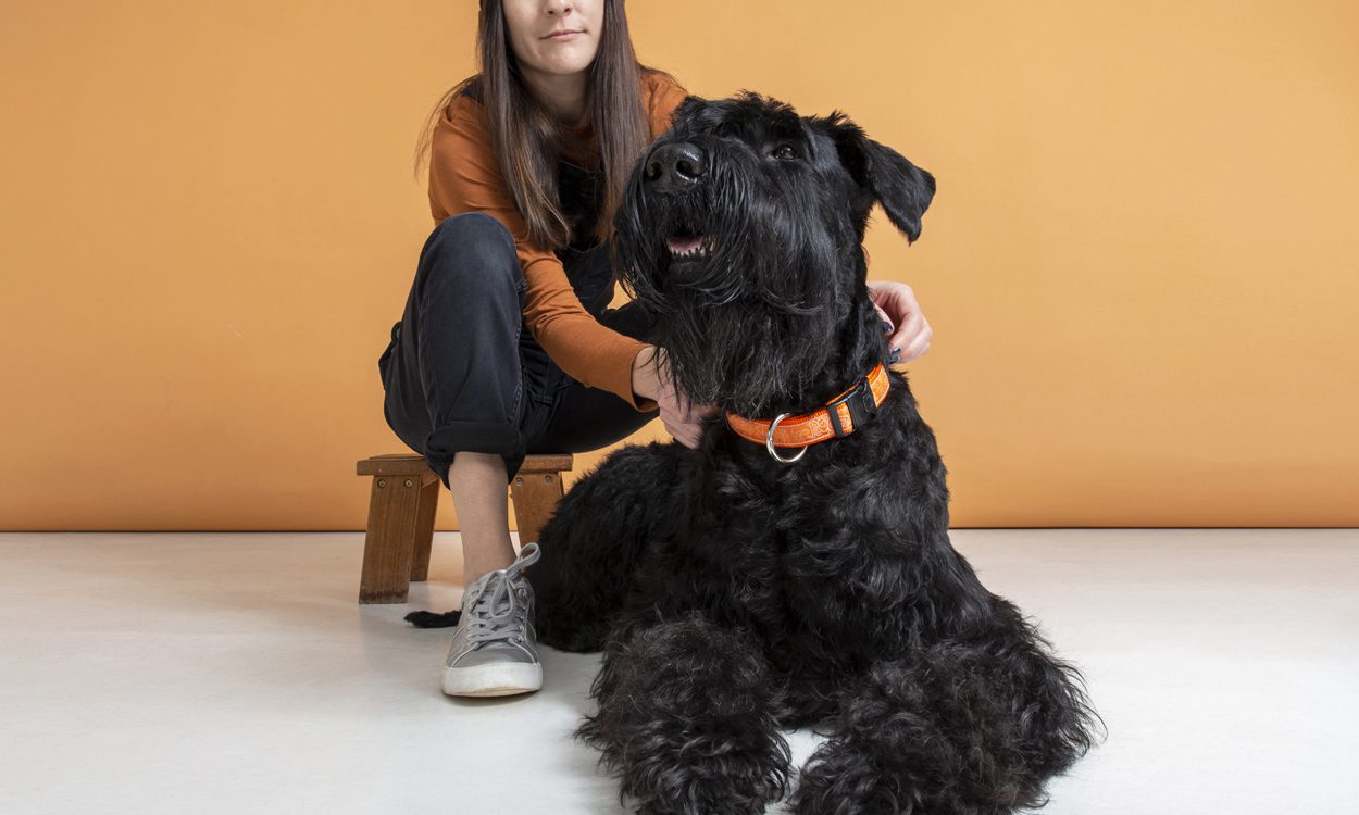 Fancy Dress Classic Collar Orange Doodle Lifestyle