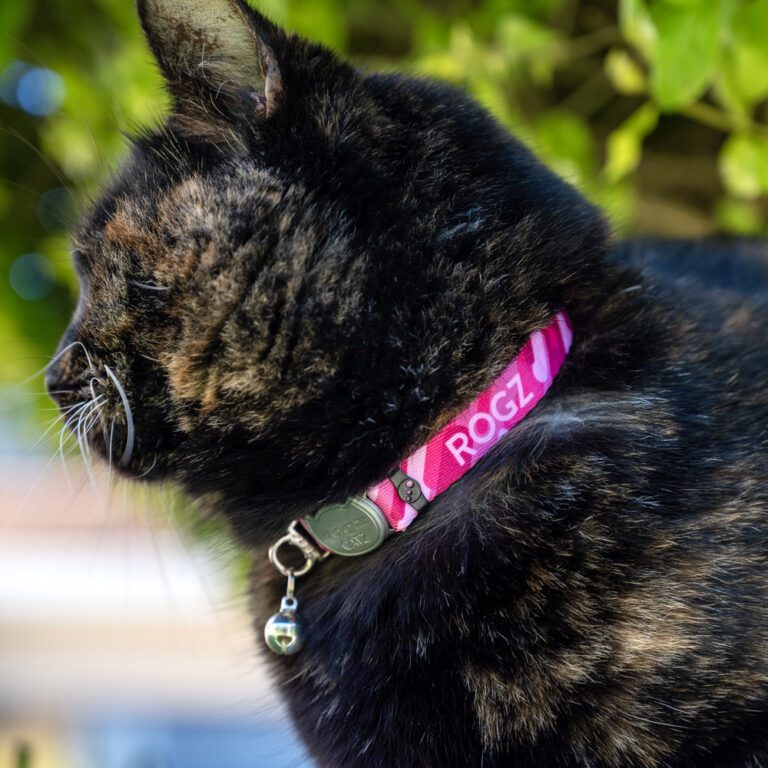 FusionCat Safety Collar Geo Pink Lifestyle