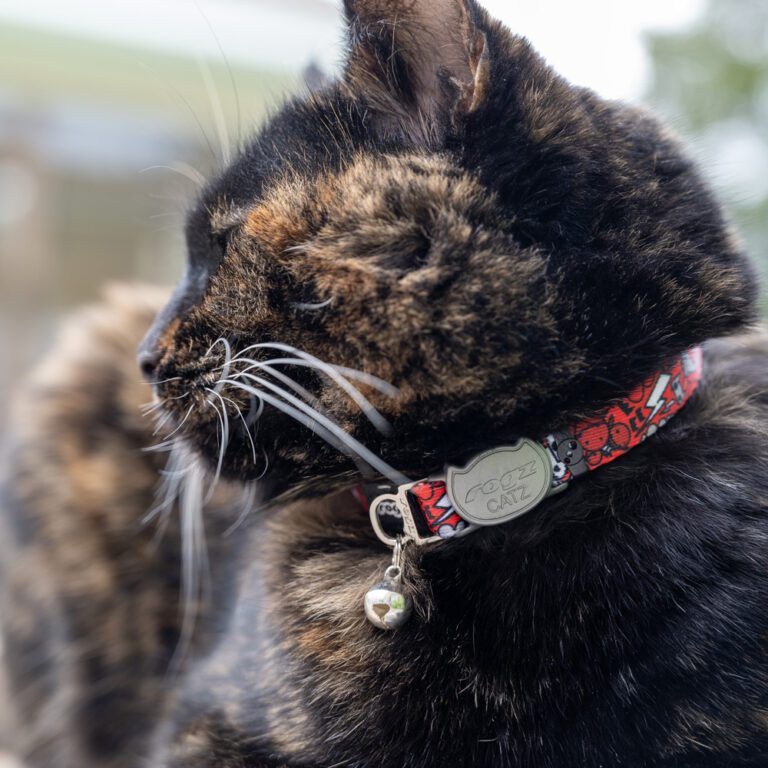 FusionCat Safety Collar Robust Red Lifestyle