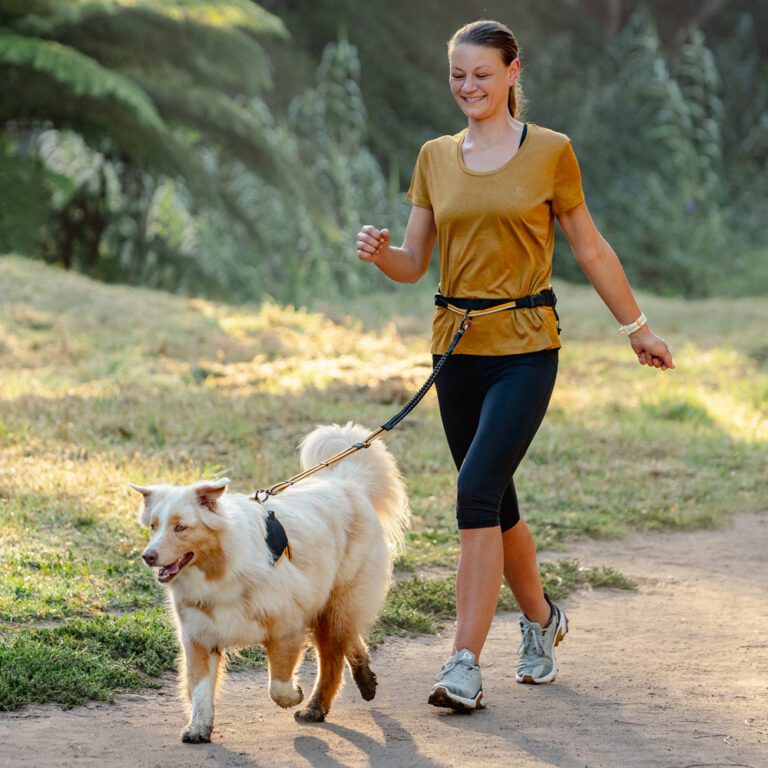 AirTech Sport Belt and Lead Burnt Ochre Lifestyle