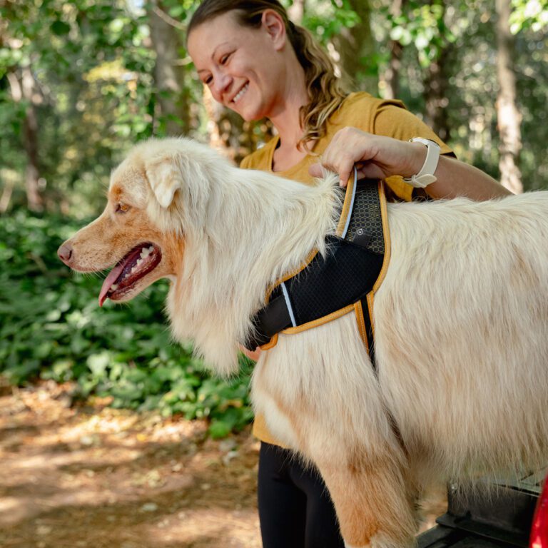 AirTech Sport Harness Burnt Ochre Lifestyle