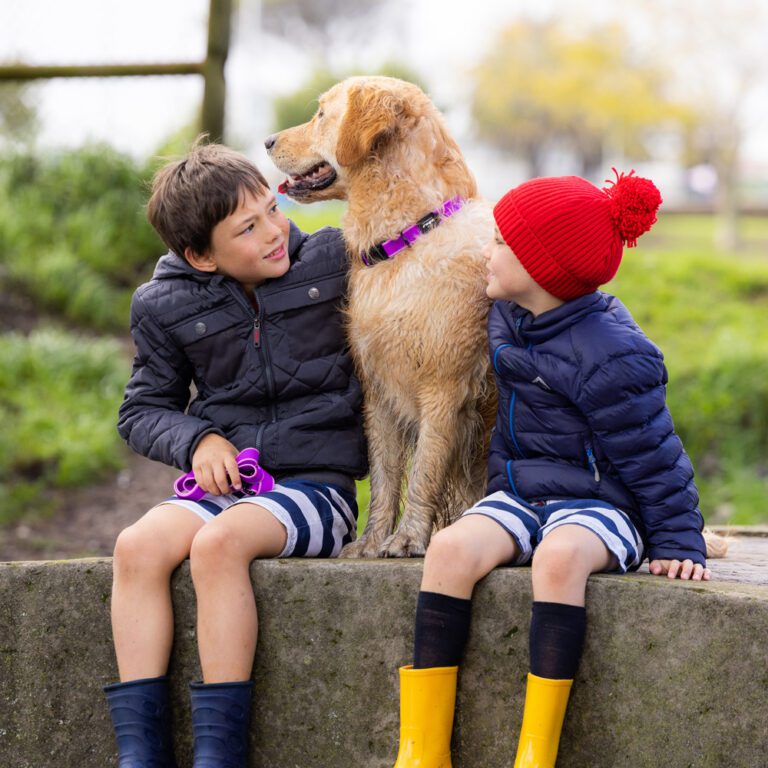 Amphibian Classic Collar Purple Lifestyle