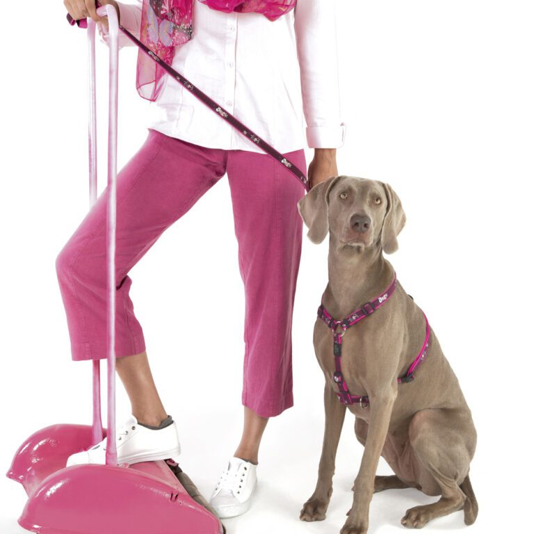 Fancy Dress Classic Lead Pink Love Lifestyle