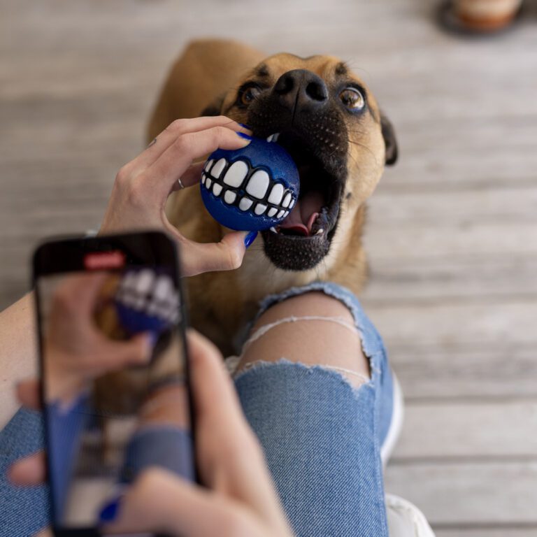 Grinz Fetch Ball Blue Lifestyle