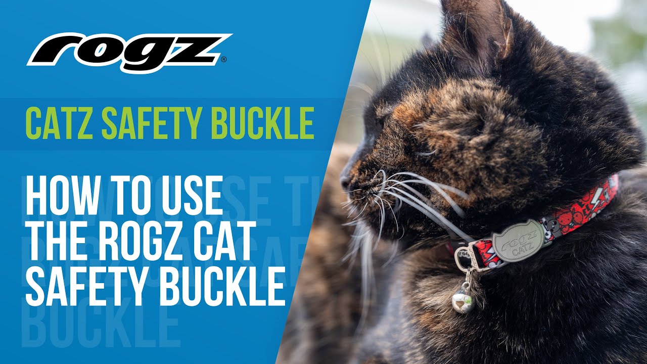How to Measure and Weigh your Dog with ROGZ