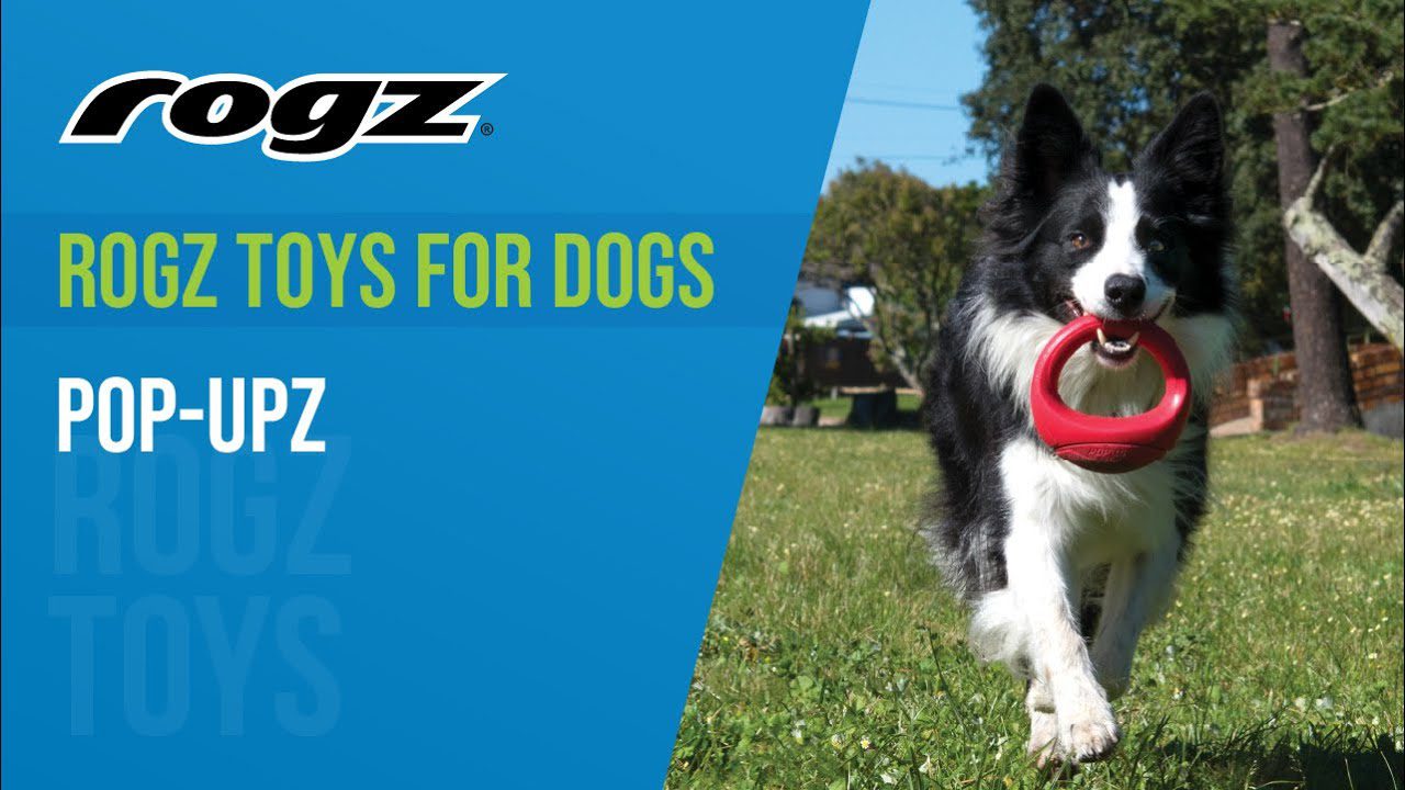 How to Measure and Weigh your Dog with ROGZ How to Measure and Weigh your Dog with ROGZ