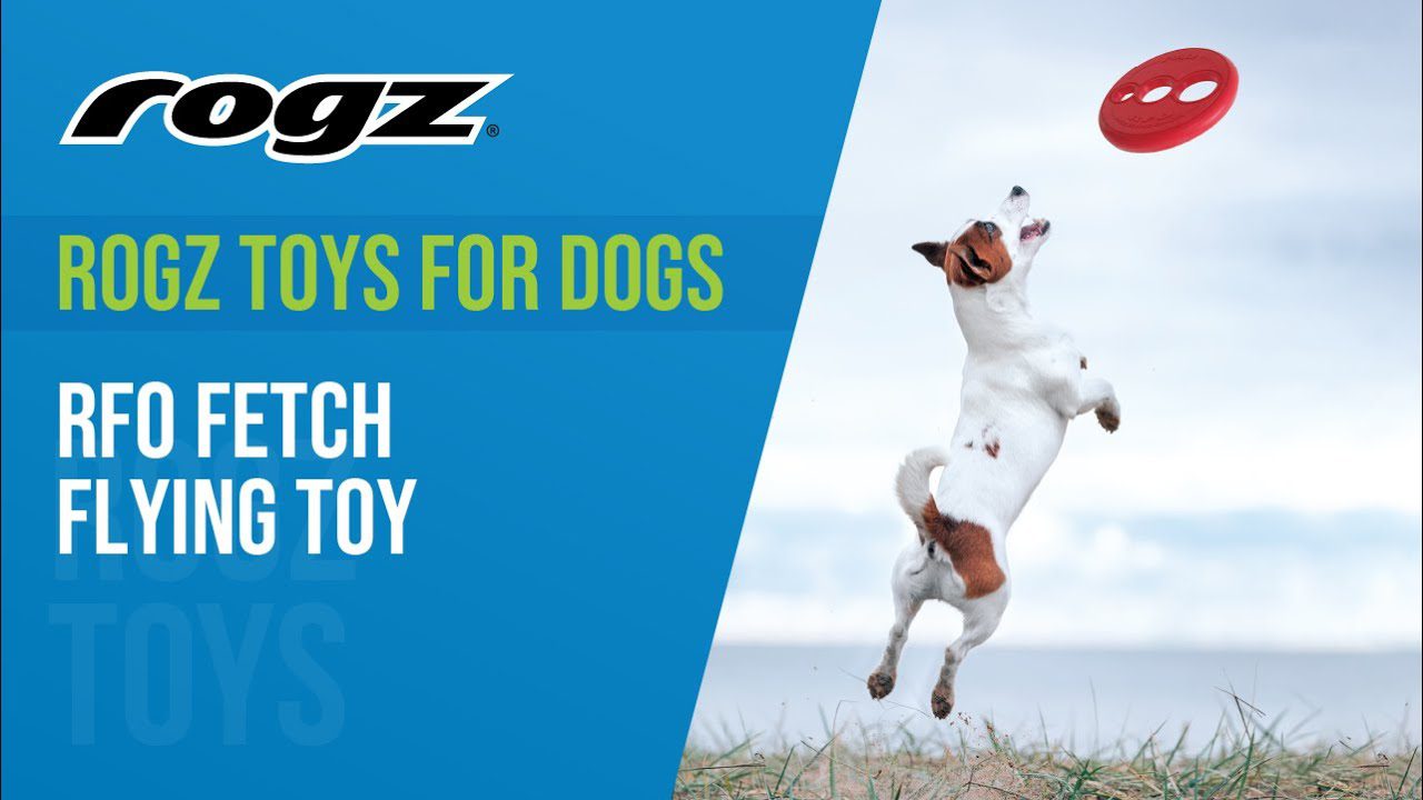 How to Measure and Weigh your Dog with ROGZ How to Measure and Weigh your Dog with ROGZ