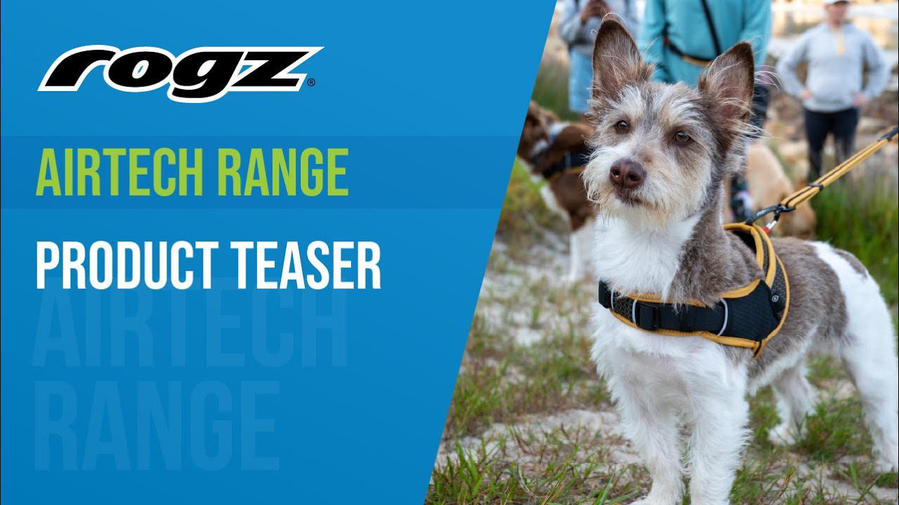 How to Measure and Weigh your Dog with ROGZ How to Measure and Weigh your Dog with ROGZ
