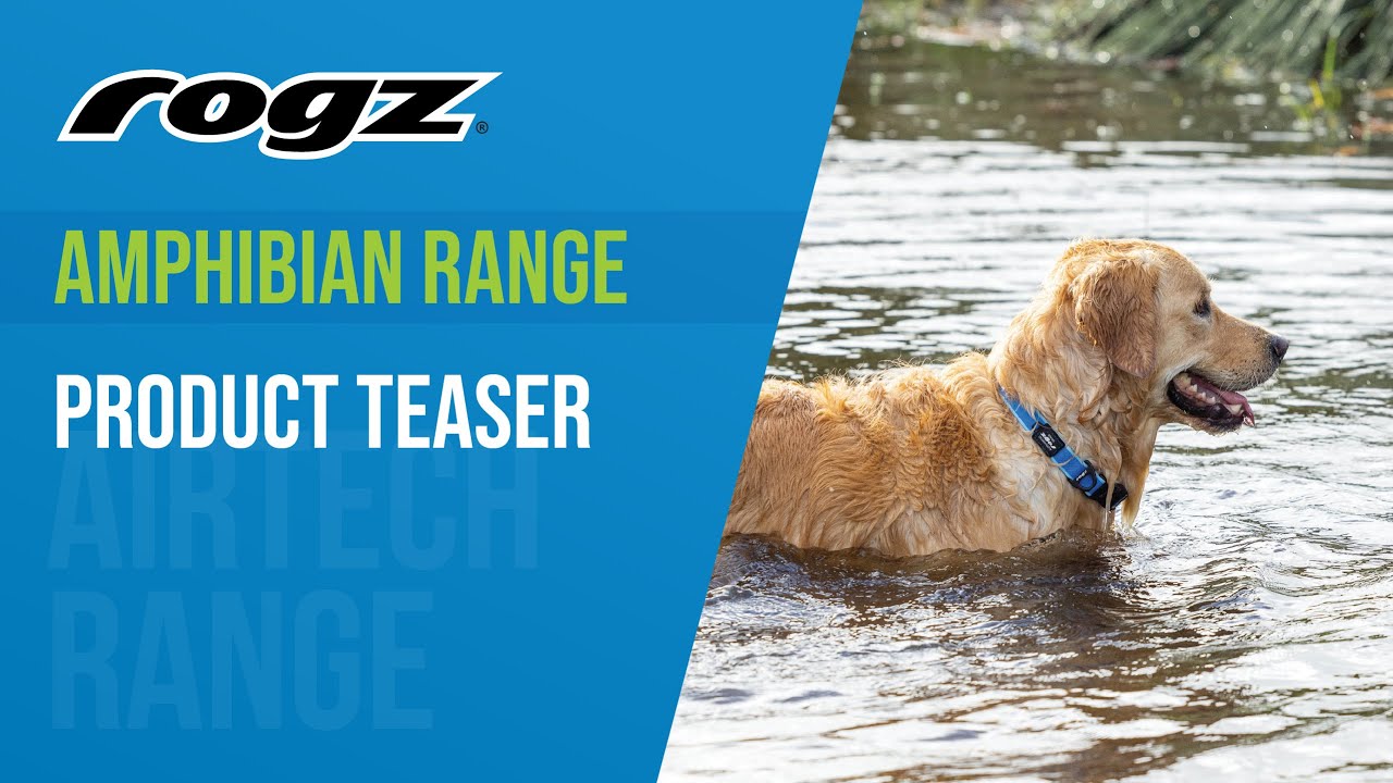 How to Measure and Weigh your Dog with ROGZ How to Measure and Weigh your Dog with ROGZ