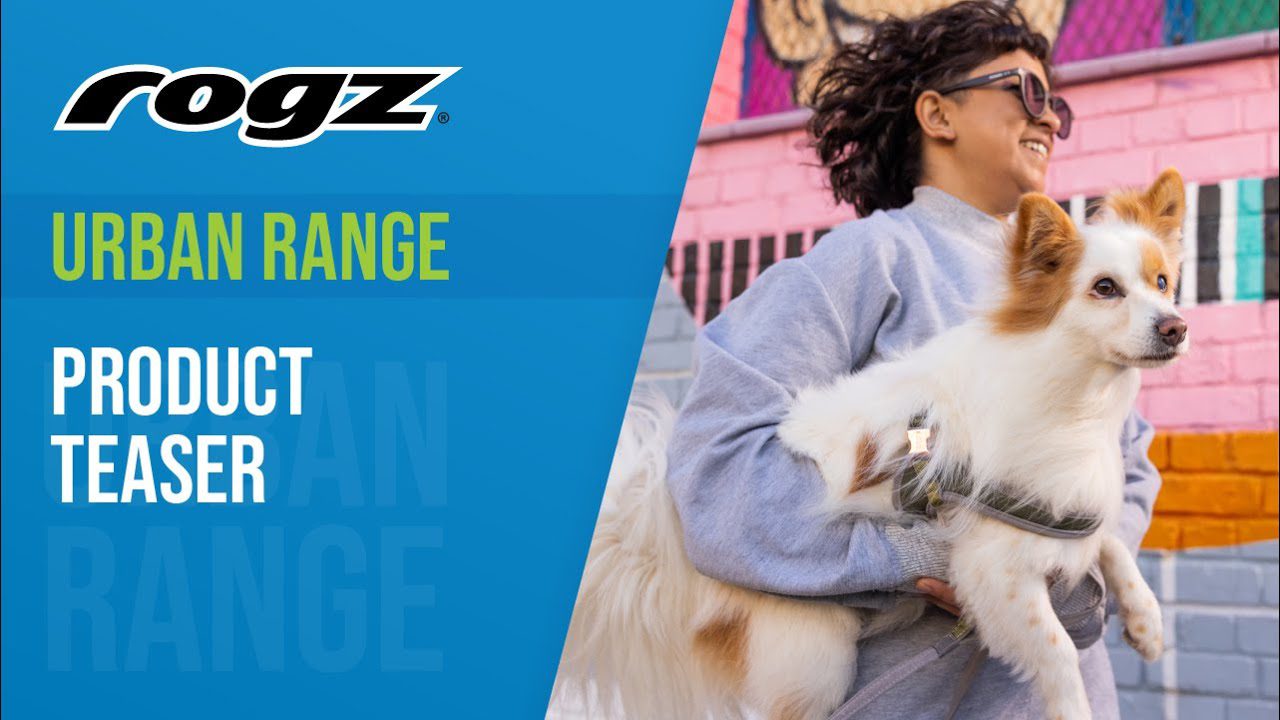 How to Measure and Weigh your Dog with ROGZ How to Measure and Weigh your Dog with ROGZ