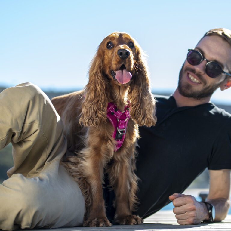 ROGZ Utility Control Harness Pink Lifestyle
