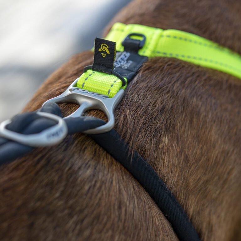 ROGZ Utility Stop Pull Harness Dayglo Lifestyle