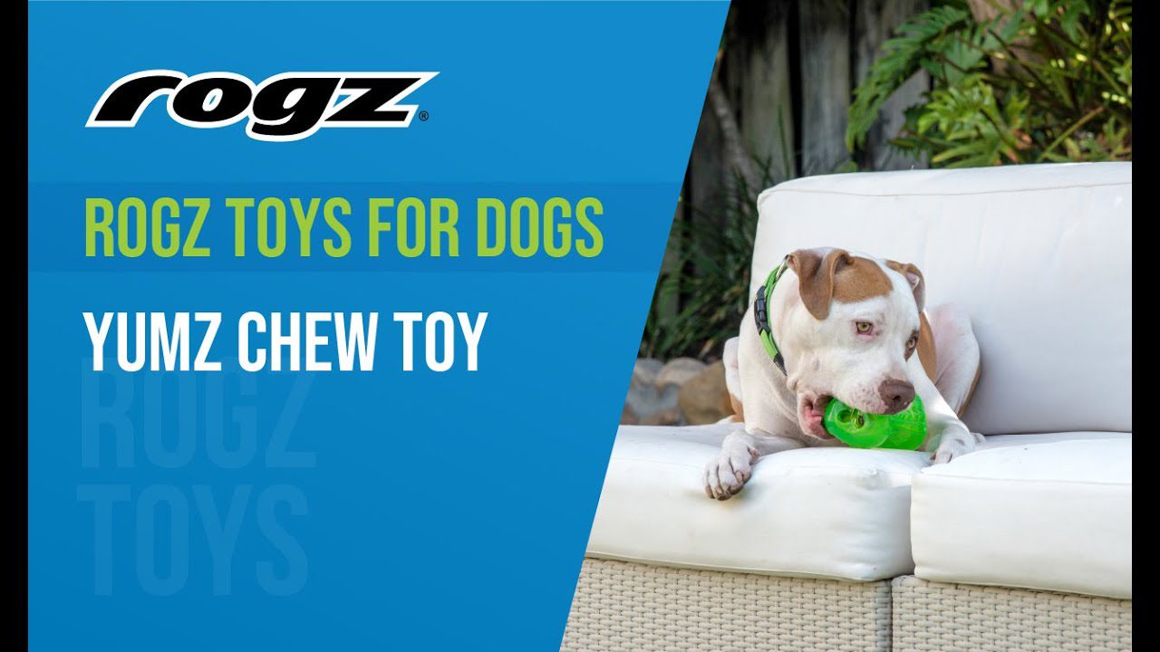 How to Measure and Weigh your Dog with ROGZ How to Measure and Weigh your Dog with ROGZ