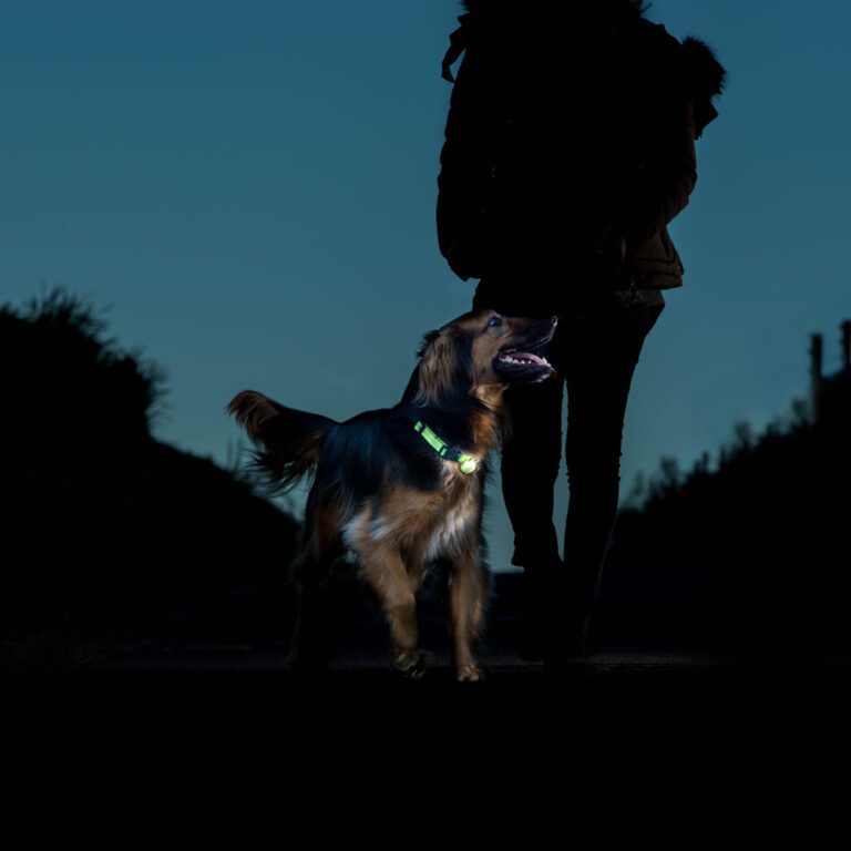 RogLite Safety Light Tag Lime Lifestyle