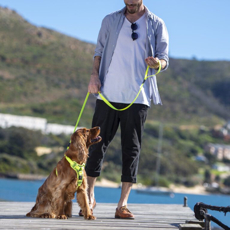 Utility Classic Lead Dayglo Lifestyle