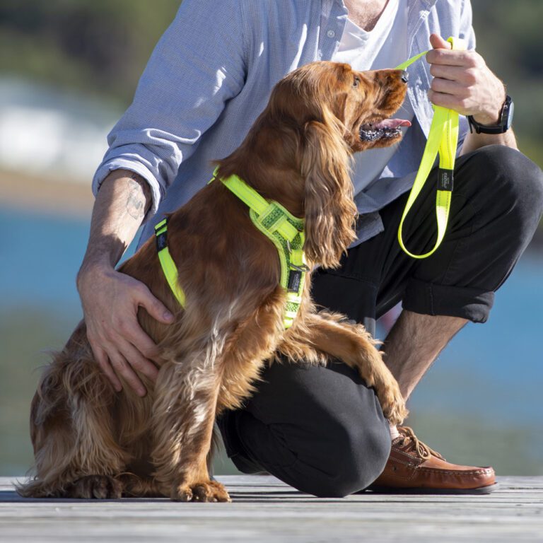 Utility Control Harness Dayglo Lifestyle