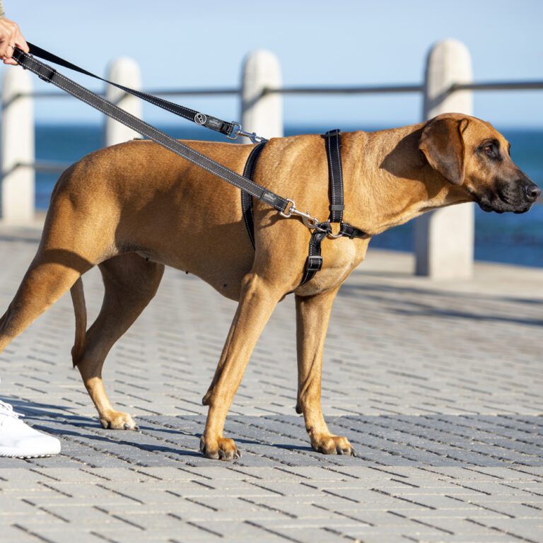 Utility Control Multi Lead Black Lifestyle