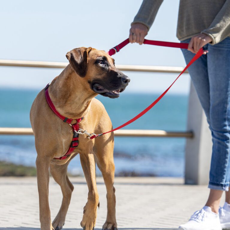 Utility Control Multi Lead Red Lifestyle