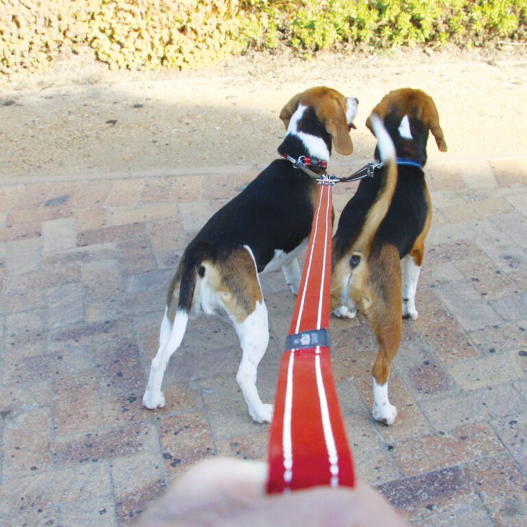 Utility Double Split Lead Red Lifestyle
