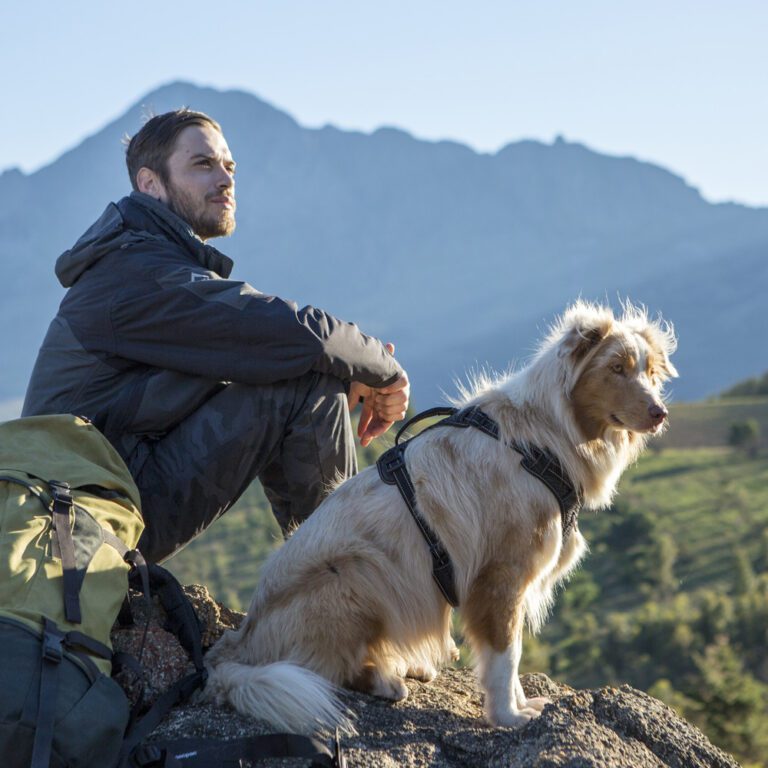 Utility Explore Harness Black Lifestyle