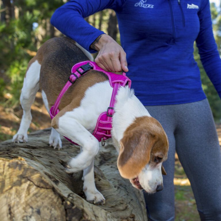Utility Explore Harness Pink Lifestyle
