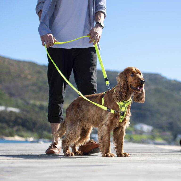 Utility Multi Lead Dayglo Lifestyle