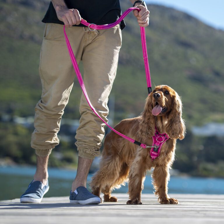 Utility Multi Lead Pink Lifestyle