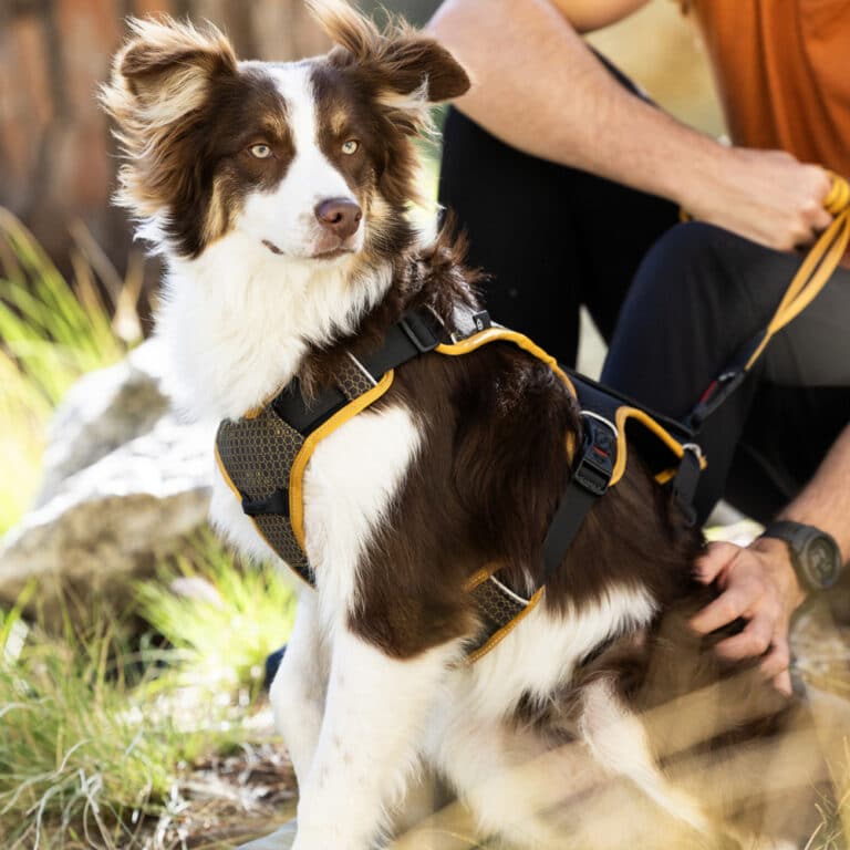 AirTech Adventure Harness Burnt Ochre Lifestyle