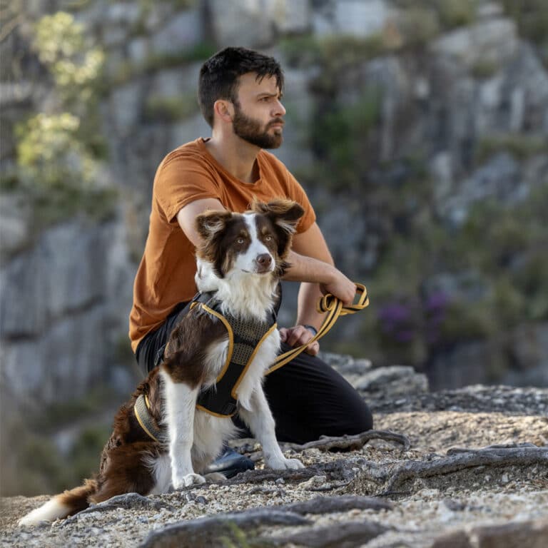 ROGZ AirTech Adventure Harness Burnt Ochre Lifestyle
